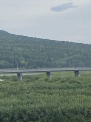 post-39432 thumbnail